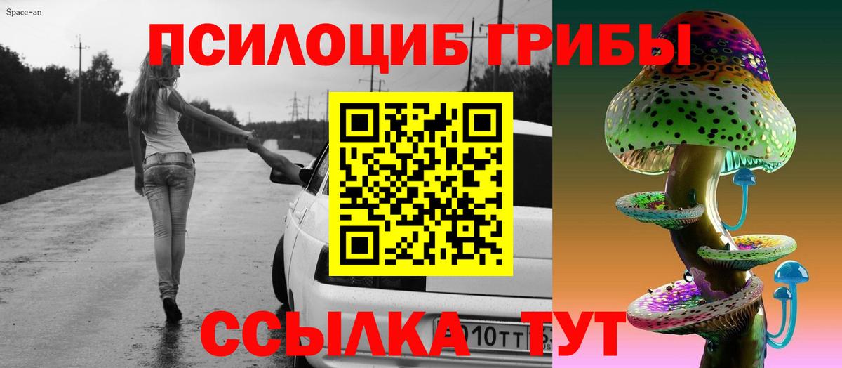 Псилоцибиновые грибы GOLDEN TEACHER  Вход с VPN  Борисоглебск 